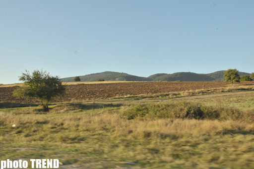Azərbaycanın tanınmış mügənnisinin yol əhvalatı (FOTO)